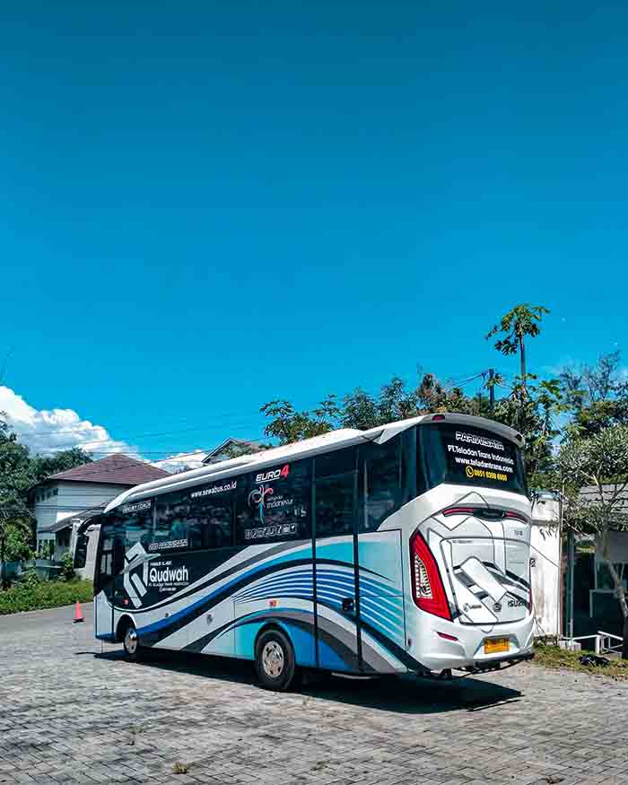 Bus untuk layanan Big Bus 47 sampai 59 seat